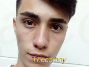 Thecatboy