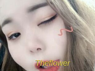 Theflower Archive DVD ORG