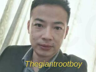 Thegiantrootboy