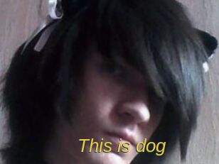 This_is_dog