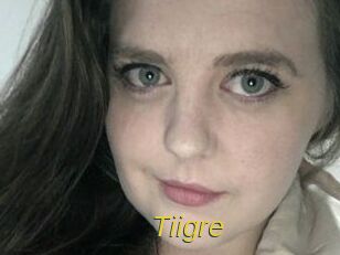 Tiigre_ Archive DVD ORG