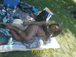 TinyD30