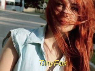 TinyFox