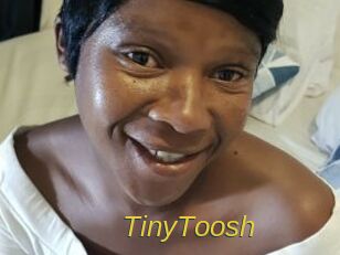TinyToosh