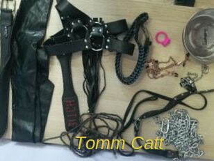 Tomm_Catt