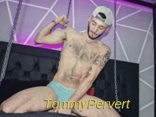 TommyPervert Archive DVD ORG