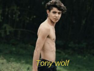 Tony_wolf