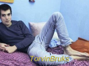 TorvinBruks