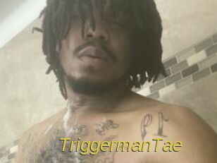 TriggermanTae Archive DVD ORG