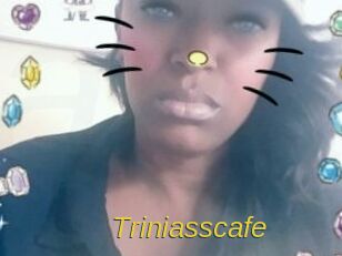 Triniasscafe Archive DVD ORG