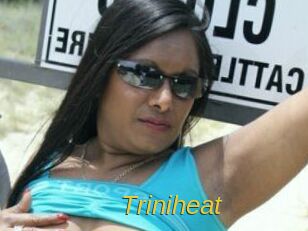 Triniheat