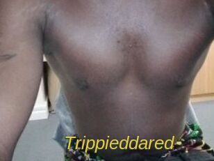 Trippieddared