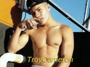 Troy_Cameron Archive DVD ORG