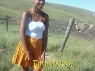 Turtledovey