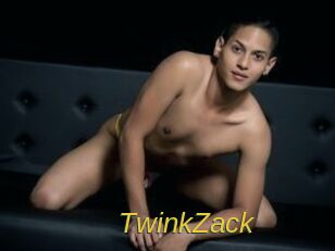TwinkZack Archive DVD ORG