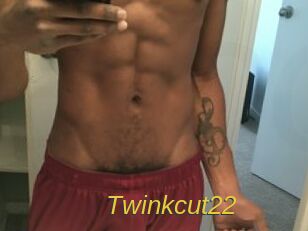 Twinkcut22 Archive DVD ORG