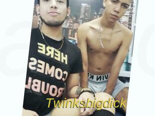 Twinksbigdick