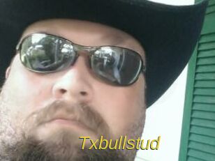 Txbullstud