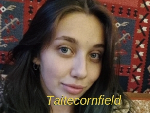 Taitecornfield
