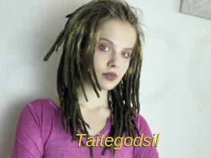 Taitegodsil