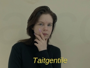 taitgentile Archive DVD ORG