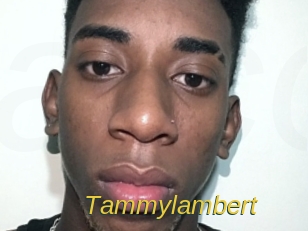 Tammylambert