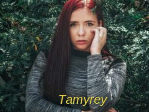 tamyrey Archive DVD ORG