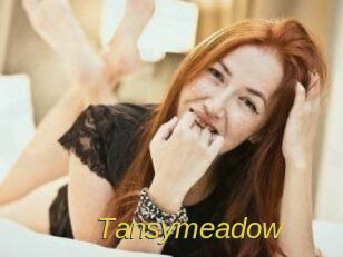 Tansymeadow