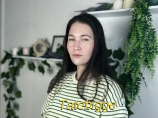 Tatebigge