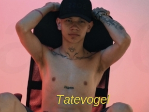 tatevogel Archive DVD ORG