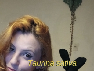 Taurina_sativa