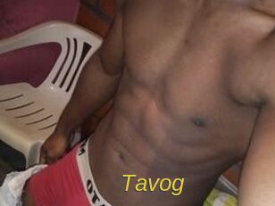 Tavog