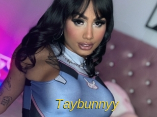taybunnyy Archive DVD ORG