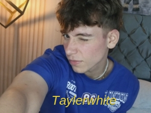 taylerwhite Archive DVD ORG