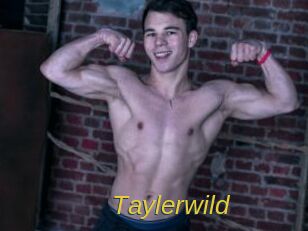 Taylerwild