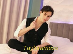Tayloramess