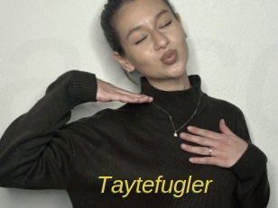 taytefugler Archive DVD ORG