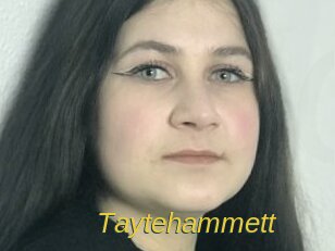 Taytehammett