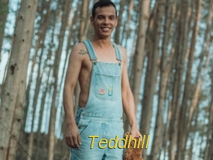 Teddhill
