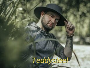 Teddysteel