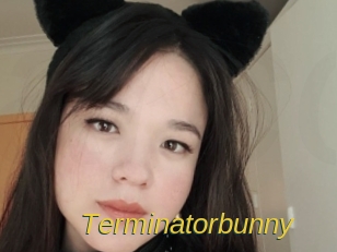 Terminatorbunny
