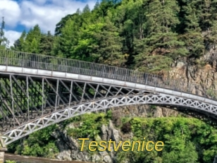 Testvenice