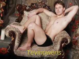 Tevinowens