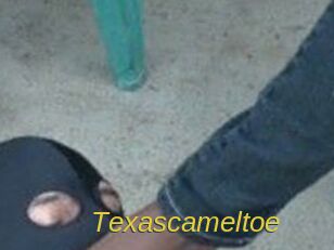 Texascameltoe