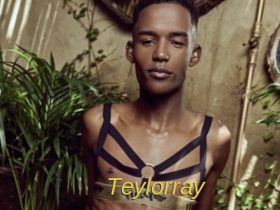 teylorray Archive DVD ORG
