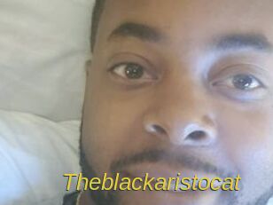 Theblackaristocat
