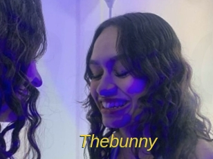 thebunny Archive DVD ORG