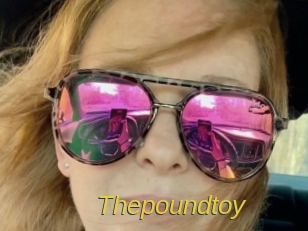 Thepoundtoy