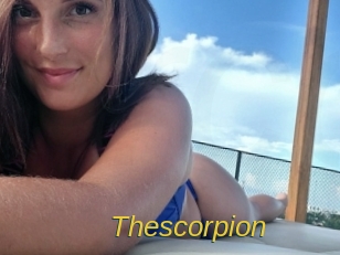 Thescorpion