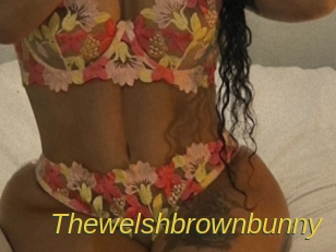 thewelshbrownbunny Archive DVD ORG